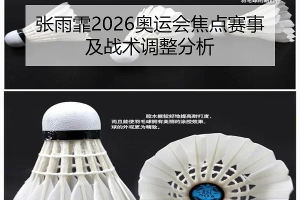 张雨霏2026奥运会焦点赛事及战术调整分析
