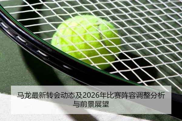 ma-long-zui-xin-zhuan-hui-dong-tai-ji-nian-bi-sai-zhen-rong-tiao-zheng-fen-xi-yu-qian-jing-zhan-wang-2-213.jpg